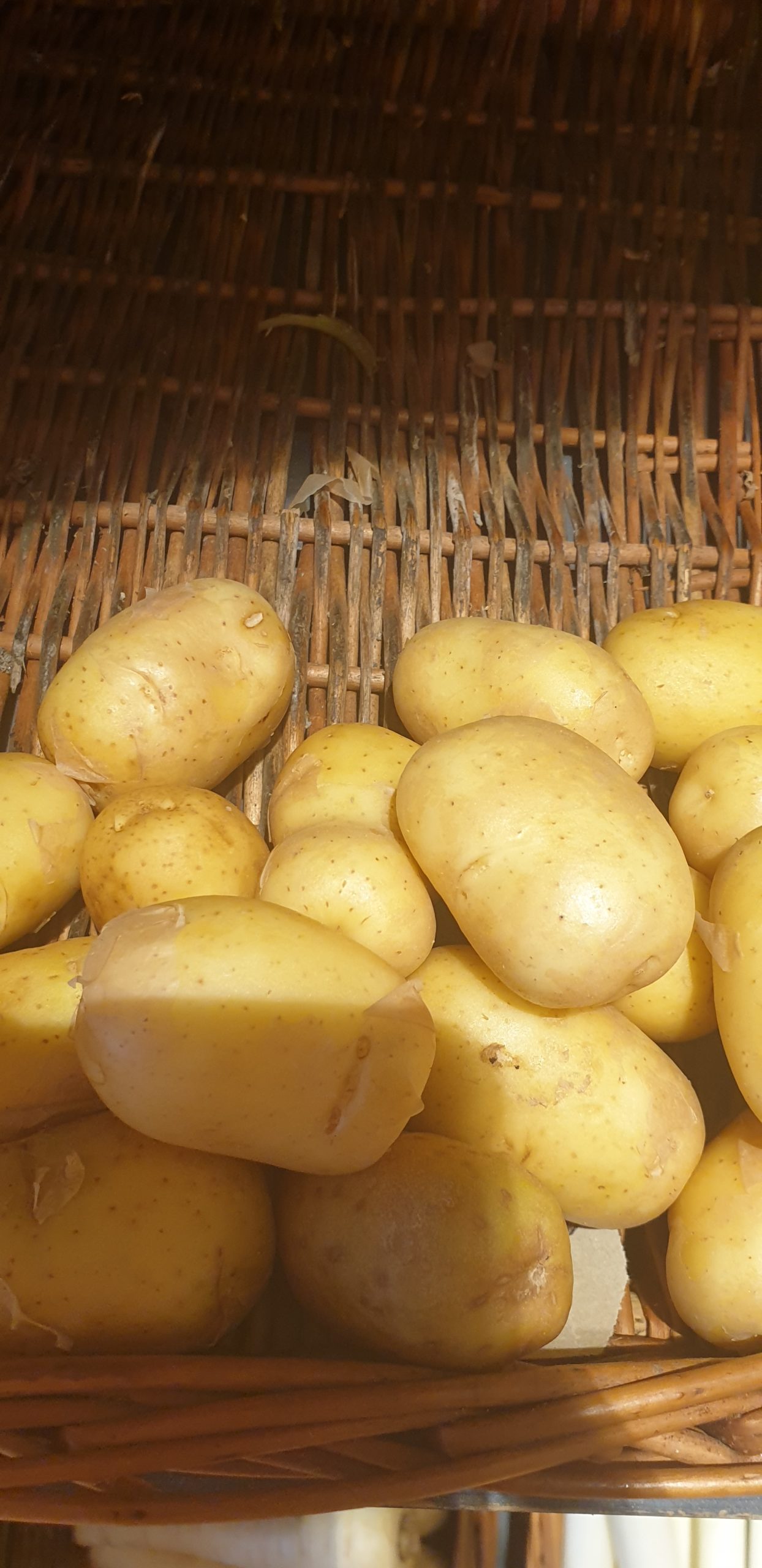 Russet Potatoes (10 lbs.) - Sam's Club